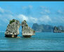 vietnam006