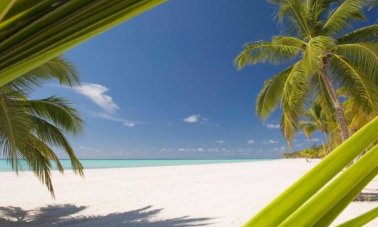 dominicana010