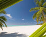 dominicana010