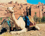 phoca_thumb_l_marokko04