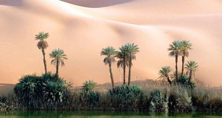 tunis018